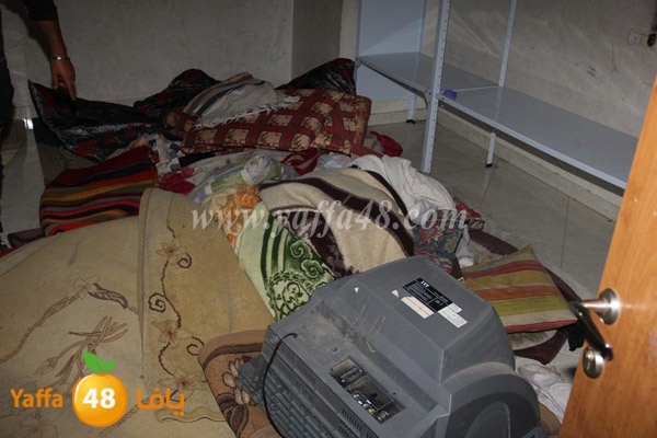 modahama lud 0216 (10).JPG